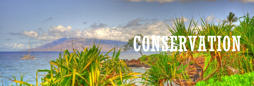 Hawaii Land Conservation