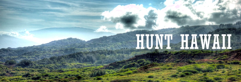 Book Your Hawaii Hunt
